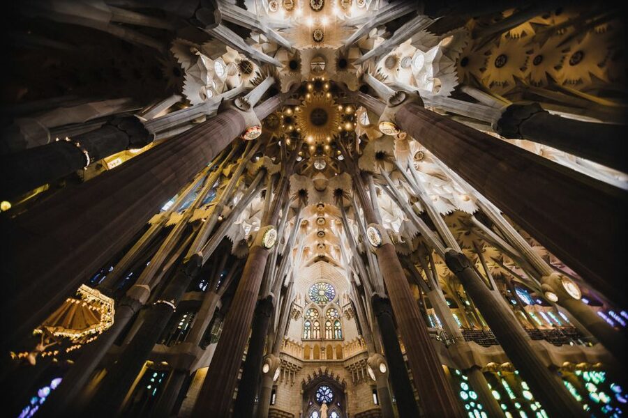 Barcelona: Discover Gaudí, Sagrada Familia, and Park Güell - Park Güell with skip-the-line access: color and organic form, without the time tax