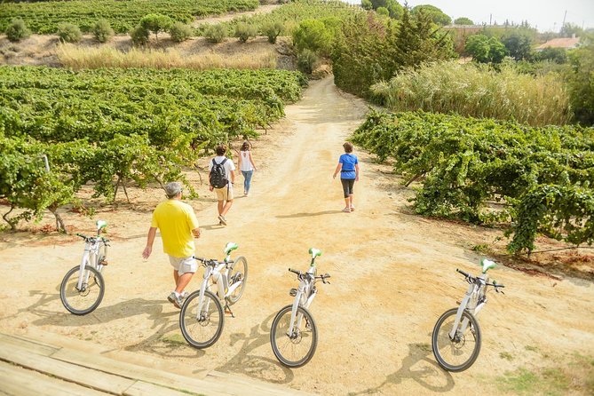 Barcelona eBike Beach Private Tour to Vineyards & Picnic - The beach route: scenic, but don’t expect constant museum stops