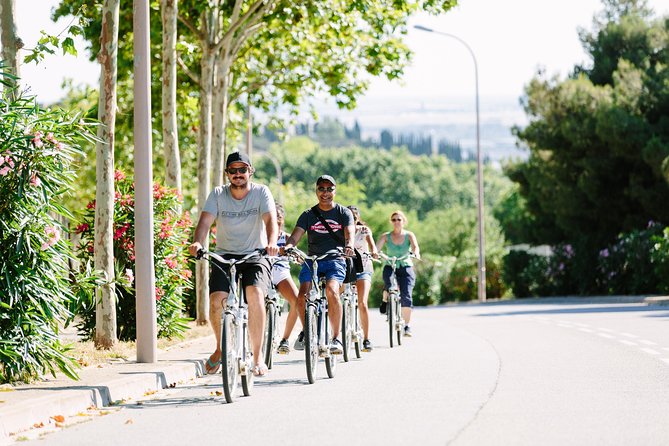 Barcelona Electric Bike Tour: Scenic Montjuic Panoramic Views - Palau Sant Jordi and the Olympic venues you can actually picture