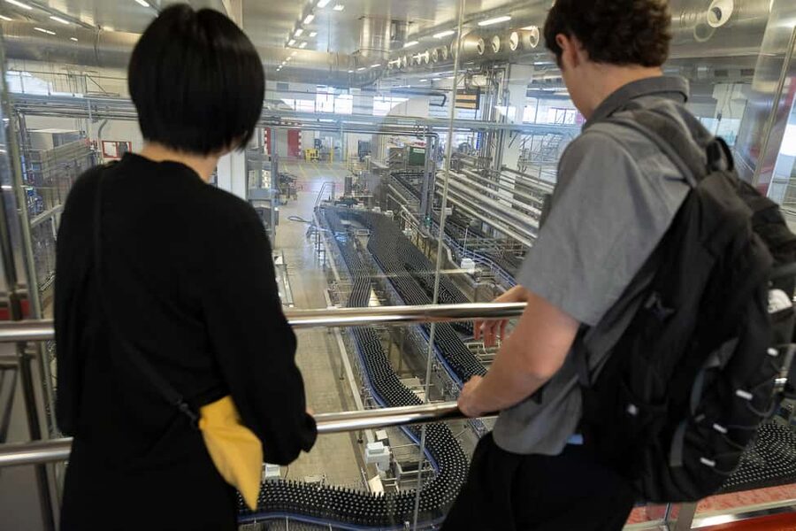 Barcelona: Estrella Damm Brewery Guided Tour with Tasting - The 1.5 Hour Flow: What You See and How It Moves