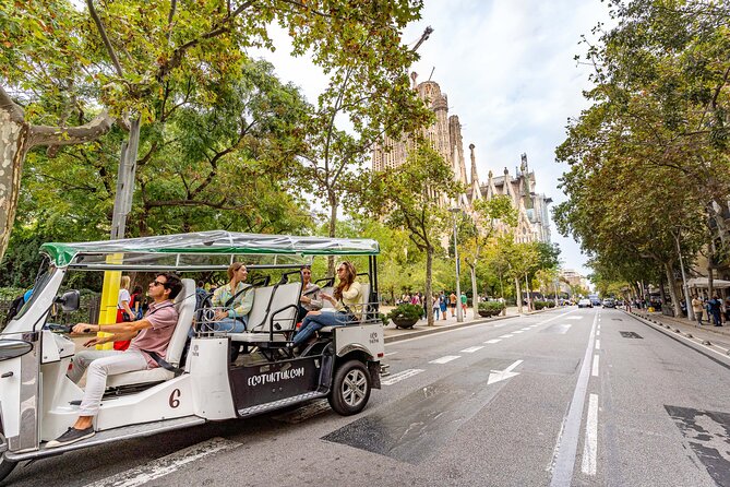 Barcelona Expert Tour with Local Guide in Eco Tuk Tuk Private - Montjuïc in 2 hours: the viewpoint bonus you should plan for