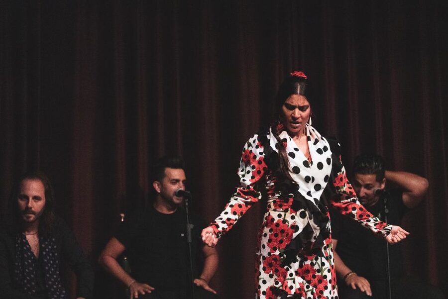 Barcelona: Flamenco Show at Palau Dalmases - Key points