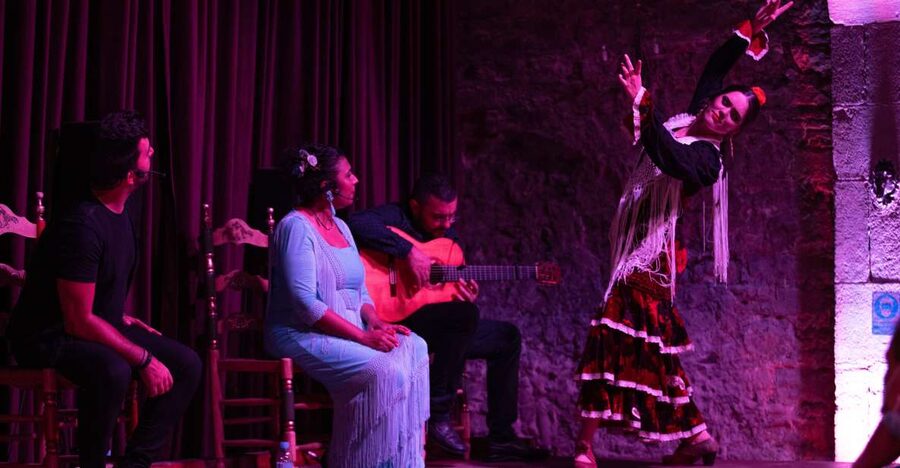 Barcelona: Flamenco Show at Palau Dalmases - The Palace Tablao: Picking VIP, Zone A, or Zone B Seats