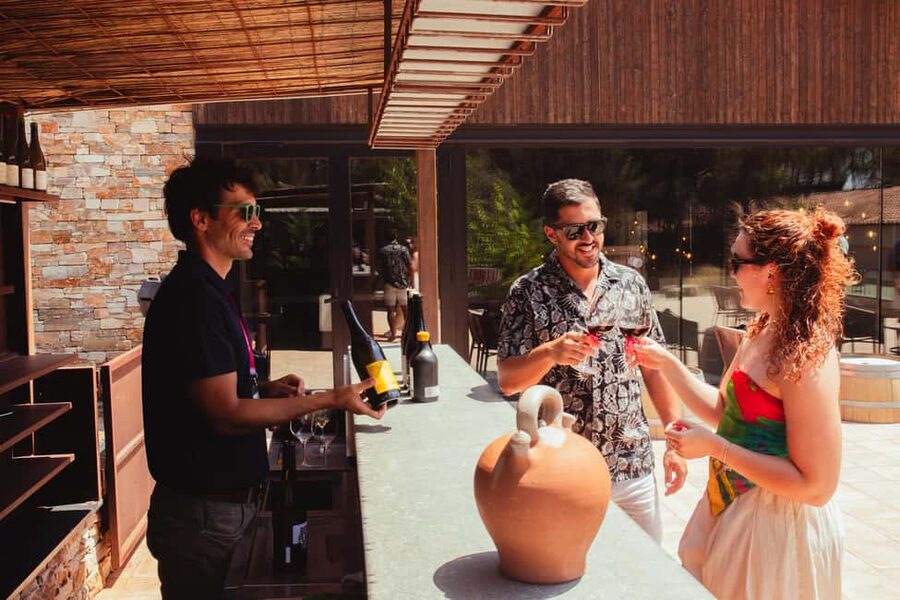 Barcelona: Full-Day Montserrat & Wine Small Group Tour - Key highlights you should care about