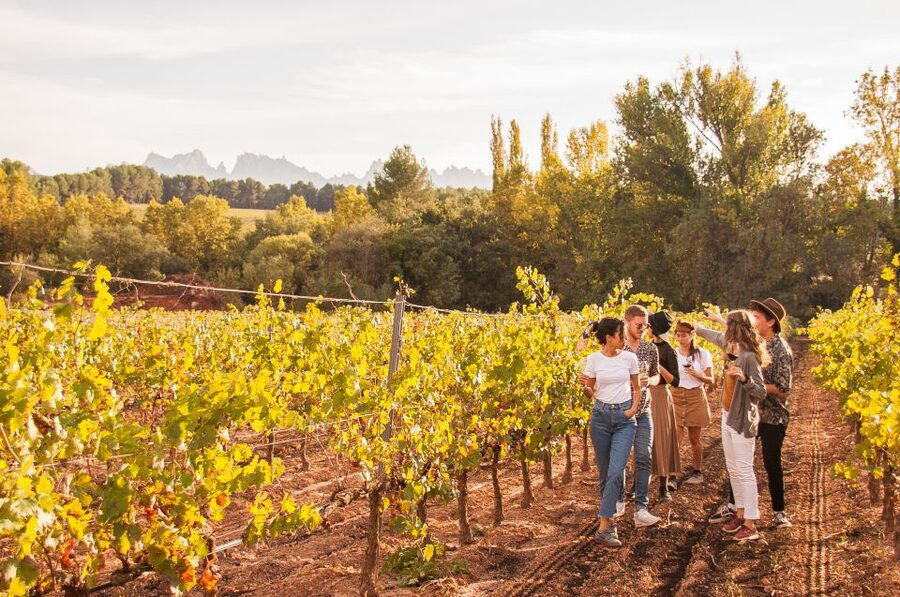 Barcelona: Full-Day Montserrat & Wine Small Group Tour - Lunch at Oller del Mas: castle setting, seasonal food, and wine included
