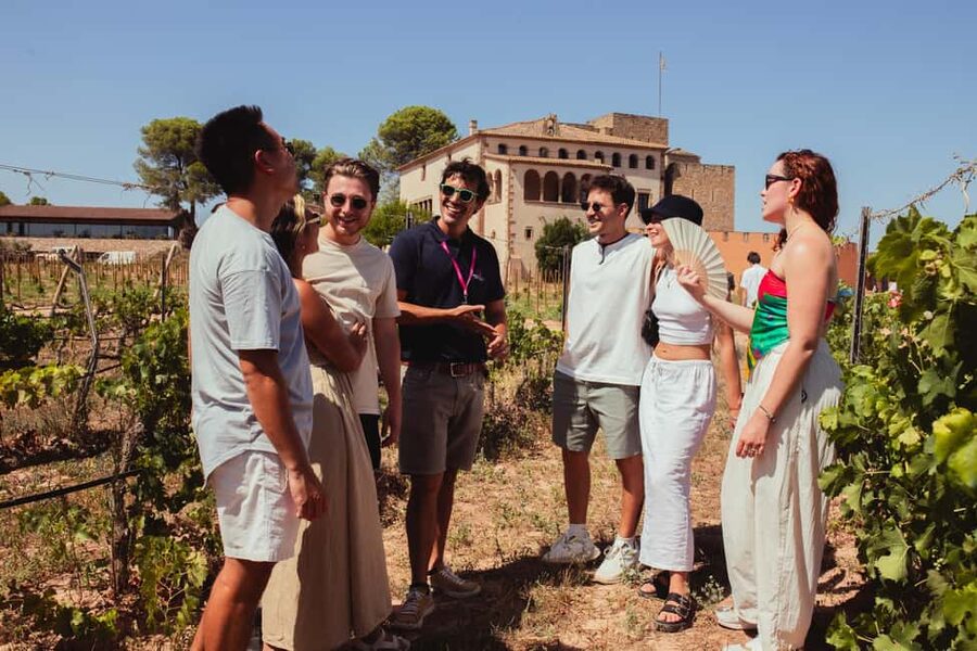 Barcelona: Full-Day Montserrat & Wine Small Group Tour - Logistics and comfort: the stuff that can make or break a day