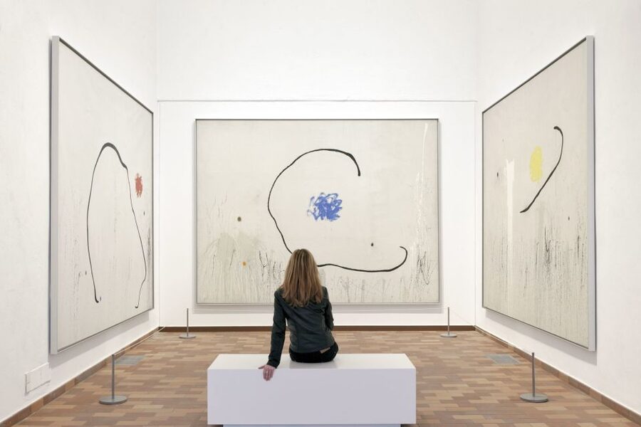 Barcelona: Fundació Joan Miró Skip-the-Line Entry Ticket - When skip-the-line matters, and when it might not