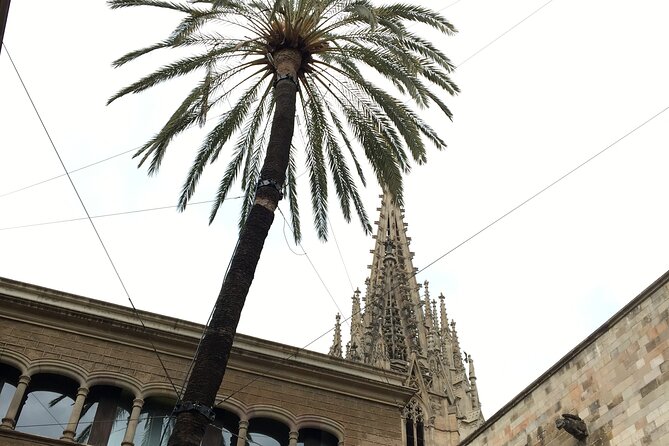 Barcelona Gothic Quarter From Roman Walls to Hidden Courtyards - Key Highlights at a Glance