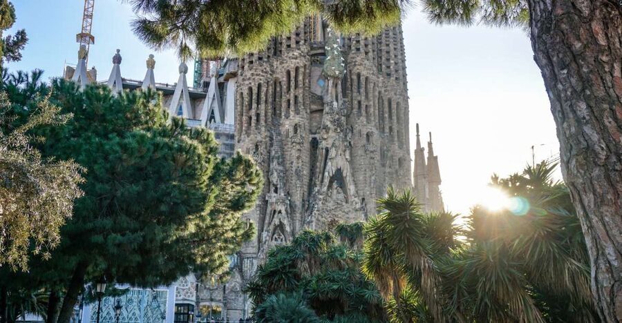 Barcelona: Gothic Quarter & La Sagrada Familia Private Tour - Passeig de Gracia by car: Casa Batlló and Casa Milà without the museum wait