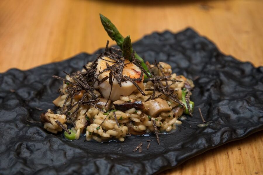 Barcelona Gourmet Food & Wine Tour with Local Expert - Who This Tour Suits Best (and Who Should Reconsider)