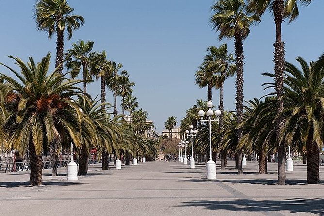 Barcelona Half-Day Sightseeing Private Tour - Logistics that can make or break your day