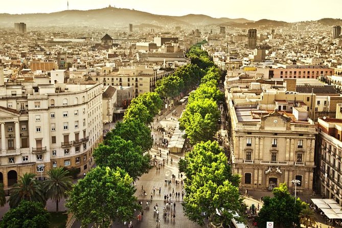Barcelona Half-Day Sightseeing Private Tour - Gothic Quarter walking time in the Barri Gòtic
