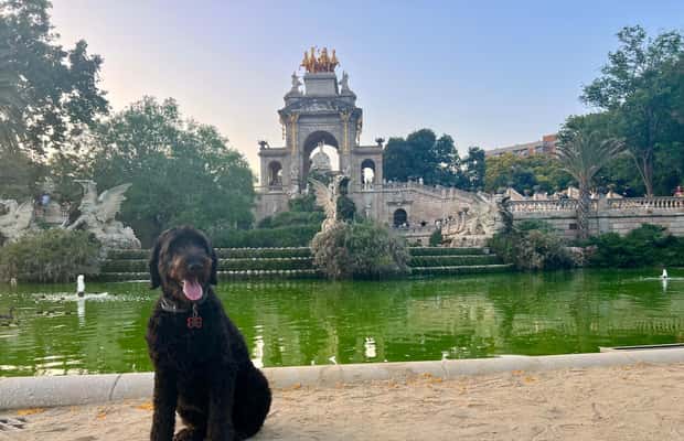 Barcelona: Hidden Gems Walking Tour with a Local & Dog - Why the dog companion changes the whole experience