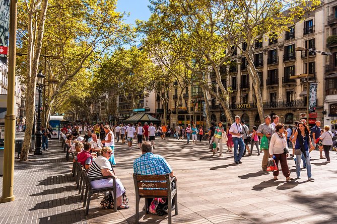 Barcelona Highlights Private Guided Tour with Hotel Pick-up - Why this private highlights plan works so well