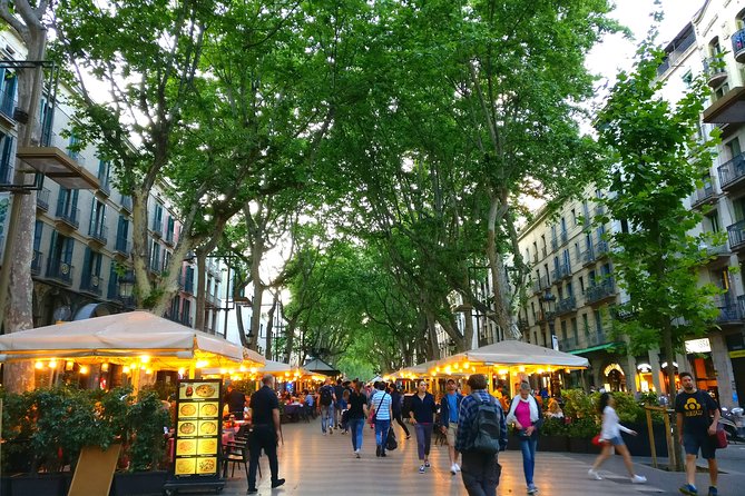 Barcelona Highlights with a Local Friend - Plaça dEspanya and the path toward Montjuïc
