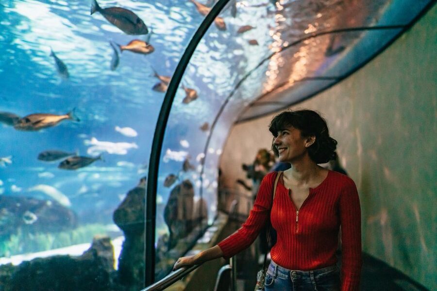 Barcelona: Hop-On Hop-Off Bus & Aquarium Tour - The Barcelona Aquarium, Mediterranean Theme, Ebro Delta, and a Shark Tunnel