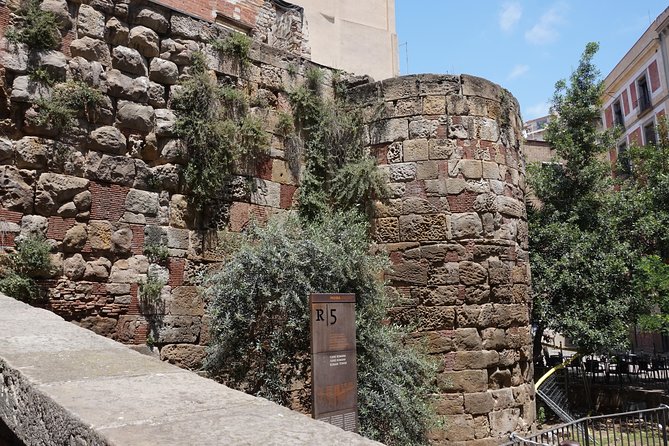 Barcelona in One Day: Gaudí, Gothic Quarter &Tapas (Private Tour) - Casa Batlló: The House of Bones and a Facade That Refuses Straight Lines