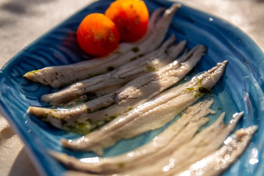 Barcelona: Local Tapas and Drinks Sailing Adventure Tour - Should you book this Barcelona sailing tapas tour?
