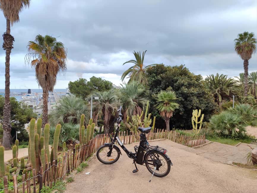 Barcelona: Montjuïc e-bike Adventure with Views and Castle - Jardins de Mossèn Costa i Llobera: cactus gardens above the Mediterranean