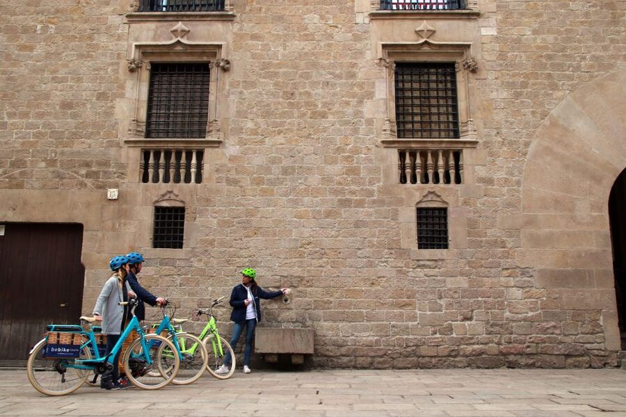 Barcelona: Montjuic Hill E-Bike Tour - Europa Square, Olympic Stadium, and the National Palace terraces