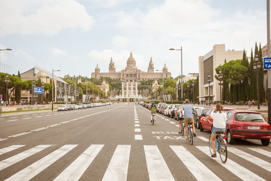 Barcelona Montjuic Three-Hour Bike Tour - Olympic Ring Views: Palau Sant Jordi and the Stadium Surprise