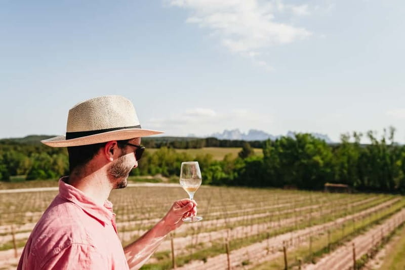 Barcelona: Montserrat, Cogwheel, Black Madonna & Winery Tour - Free time on Montserrat: viewpoints and stops that feel worth it