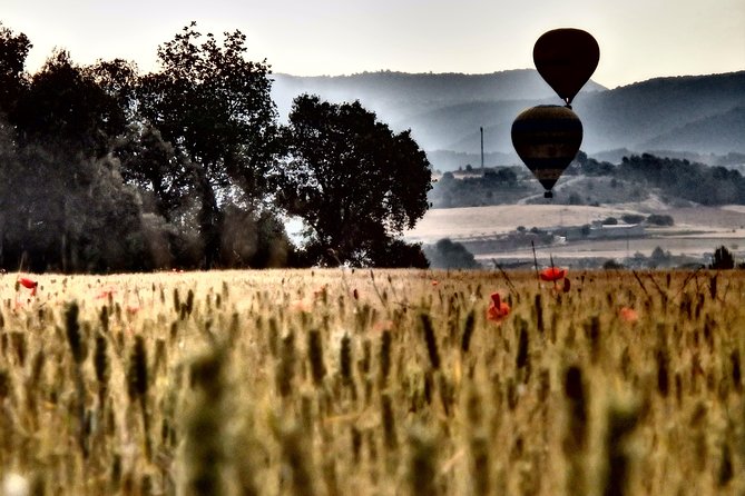 Barcelona: Montserrat Hot Air Balloon Ride with Champagne Toast - Landing Picnic and Champagne Toast: The Part That Turns a Ride Into a Celebration