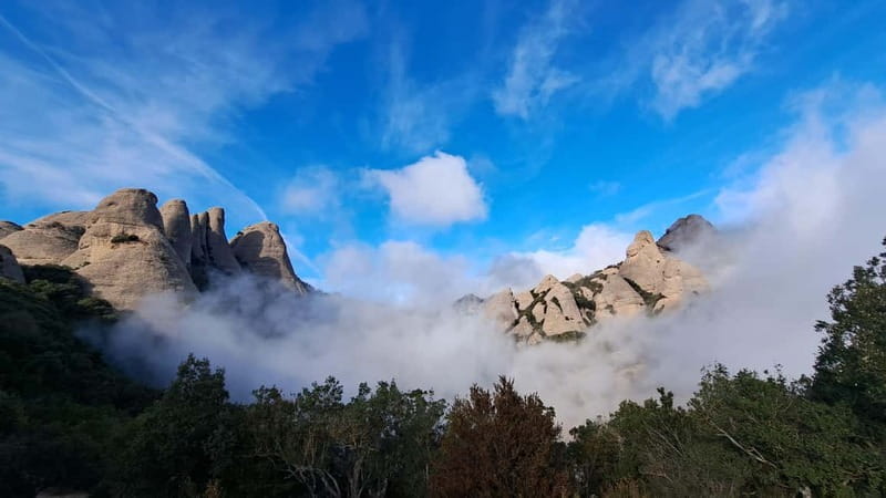 Barcelona: Montserrat Monastery and Natural Park Guided Tour - The Monastery and Basilica: Sacred Sites With Real Context