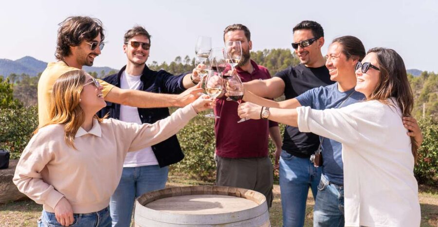 Barcelona: Montserrat, Winery Tour & Lunch with Wine Tasting - Riding the cogwheel train up to Montserrat