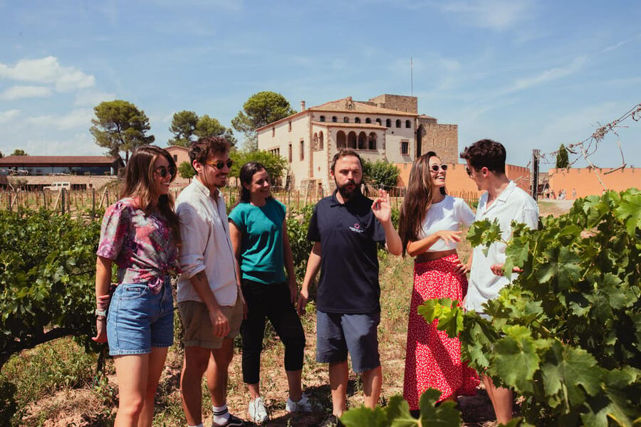 Barcelona: Montserrat with Winery, Lunch, and Train Options - Food in Catalan style: lunch vs tapas and what to expect