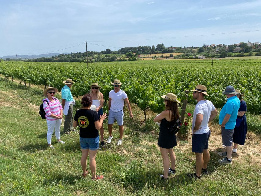 Barcelona: Montserrat with Winery Visit and Farmhouse Lunch - Pacing on the mountain: what fits the day (and what might not)