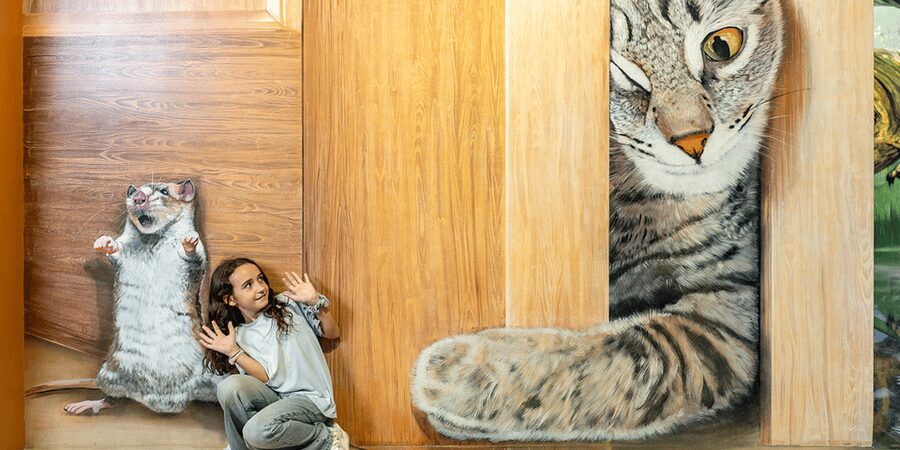 Barcelona: Museum of Illusions– Interactive & Fun Experience - The 3D art walls: why the photos look so good