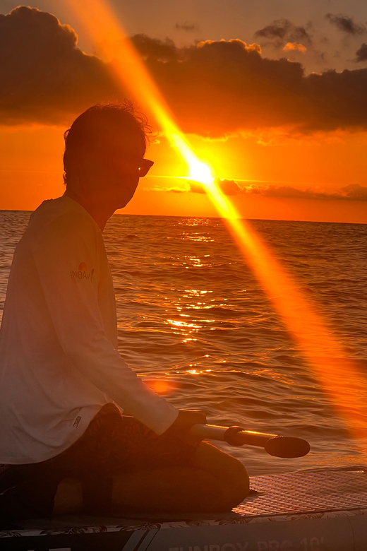 BARCELONA PADDLE SURF SUNRISE+BREAKFAST+PHOTOSVIDEOS4K+GUIDE - On the water at first light: coaching, calm sea, and music
