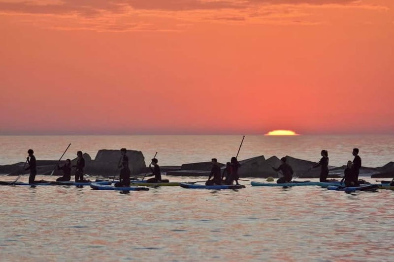 Barcelona: Paddleboarding at Sunrise. Includes: instructor, photos, equipment - The Sunrise Sea Walk: From School to the Waterline