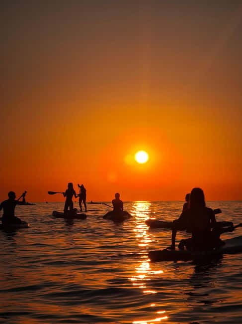 Barcelona: Paddleboarding at Sunrise. Includes: instructor, photos, equipment - Best for Beginners, Couples, and Calm-Morning People
