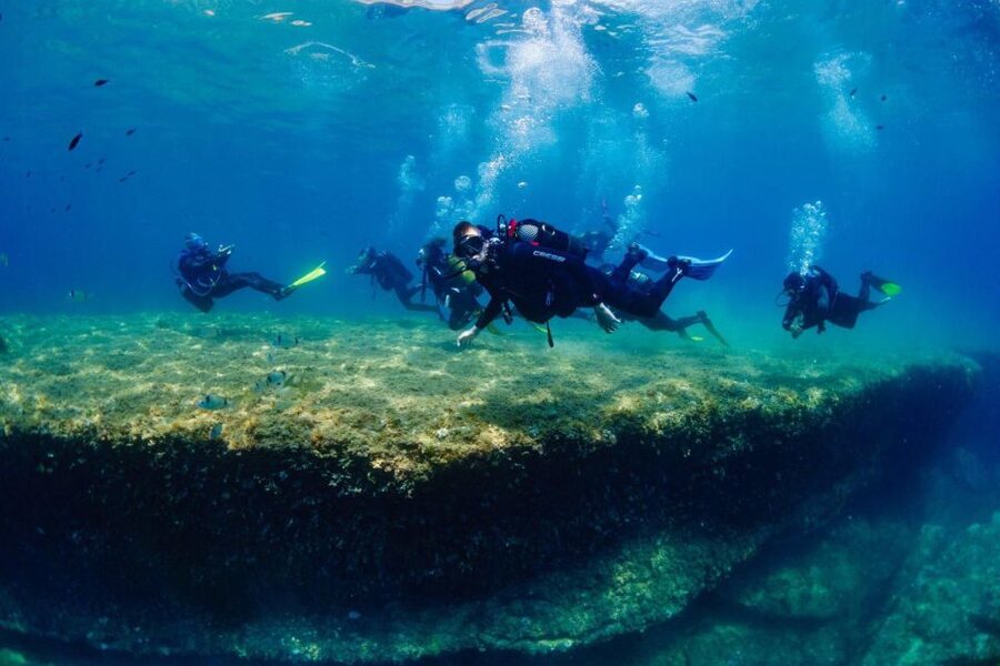 Barcelona: PADI Discover Scuba Diving - Wildlife and Visibility: What You Can See Under Barcelona’s Water