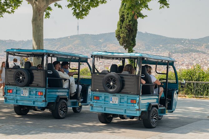 Barcelona Panoramic Private Tuk Tuk Tour - Key highlights you’ll feel immediately