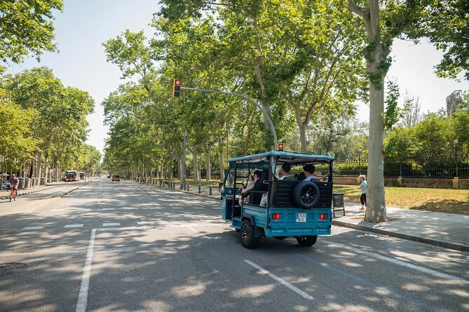 Barcelona Panoramic Private Tuk Tuk Tour - Montjuïc: The Hilltop Reset With Panoramic City and Sea Views