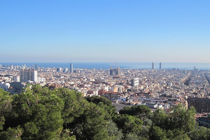 Barcelona: Park Guell Guided Tour with Skip the Line Ticket - Skip-the-Line Entry at Park Guell: What You Gain in Real Time