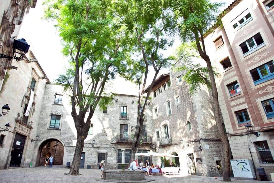Barcelona & Park Güell: Private Half-Day Tour with Pickup - Park Güell Plus Sagrada Família Without the Ticket Overload