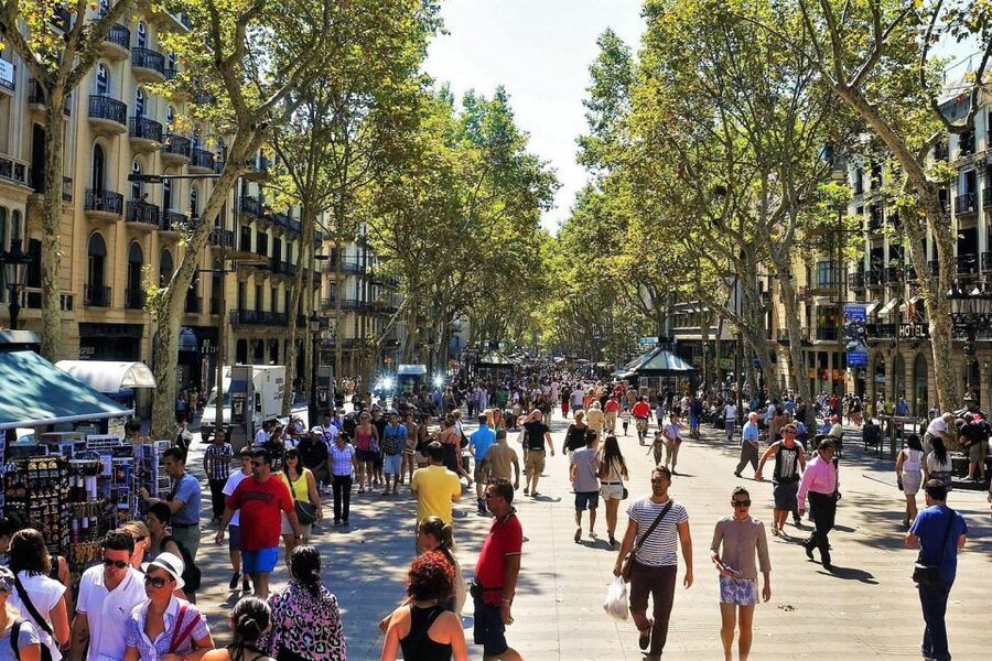 Barcelona & Park Güell: Private Half-Day Tour with Pickup - Montjuïc for Panoramas, Olympics, and Big City Squares