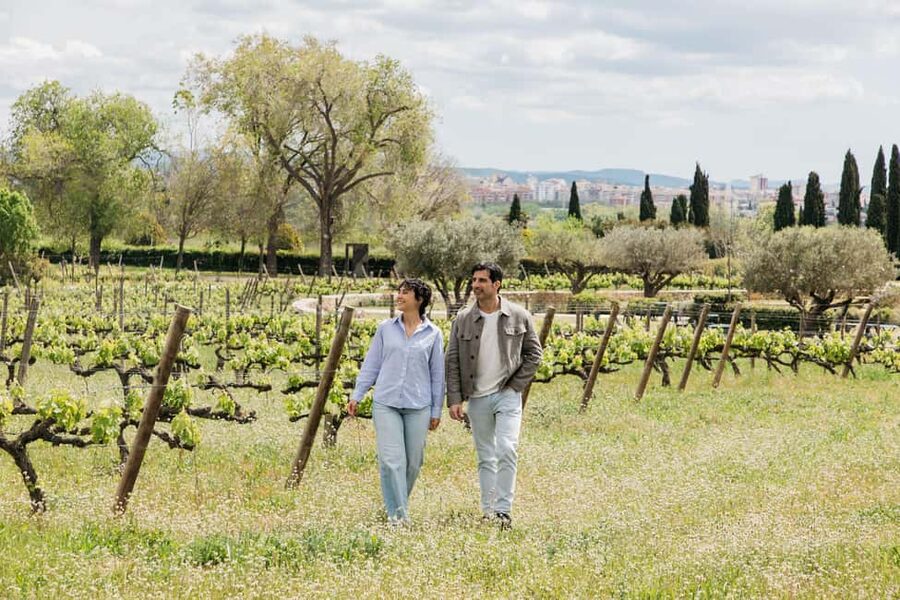 Barcelona-Penedès: Familia Torres wine & tapas winery tour - Key Things to Know Before You Go
