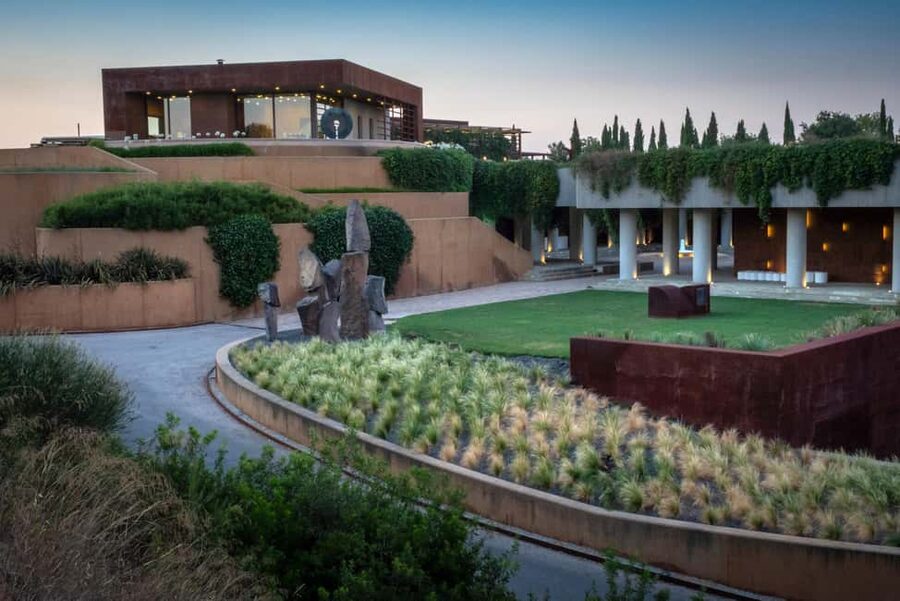 Barcelona-Penedès: Familia Torres wine & tapas winery tour - Mas La Plana Vineyard Walk and Regenerative Viticulture