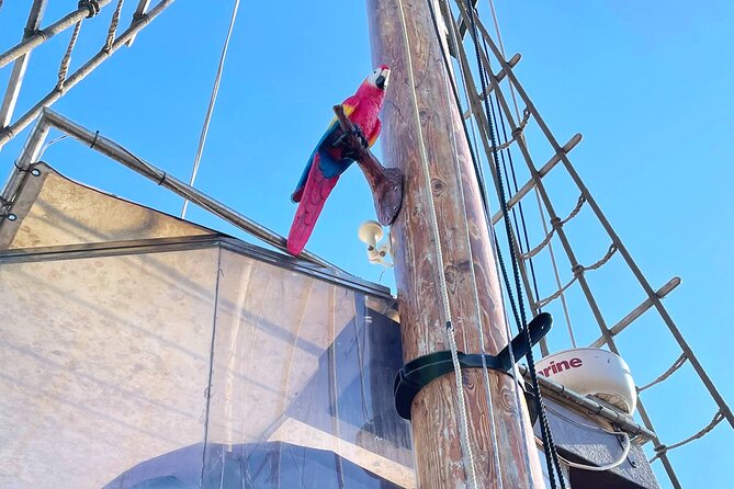 Barcelona Pirate Adventure 75min. - Music, kids’ games, and the cast energy onboard