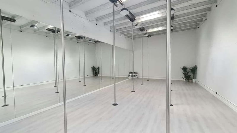 Barcelona: Pole Dancing Class - Pole dancing basics in Barcelona: why this works as a celebration