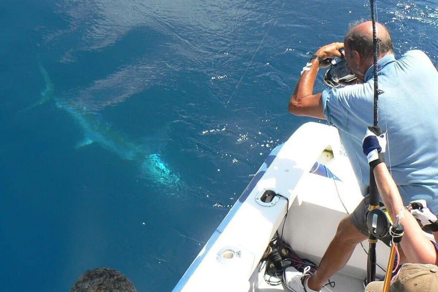 Barcelona: Privat fishing trip in a yacht - Key highlights worth knowing before you book