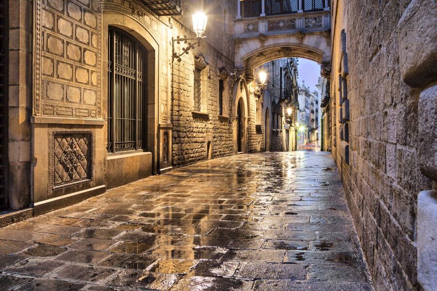 Barcelona: Private Custom Tour with a Local – Icons & Gems - Insider Context and Direction for the Rest of Your Barcelona Days