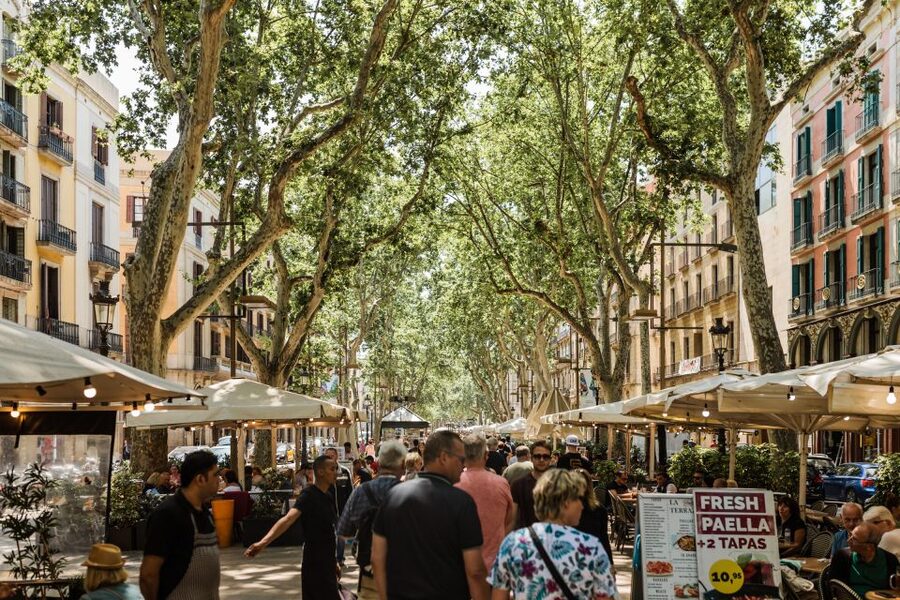 Barcelona: Private Custom Tour with a Local – Icons & Gems - Price and Value: Why $53 Can Make Sense for a Private Walk