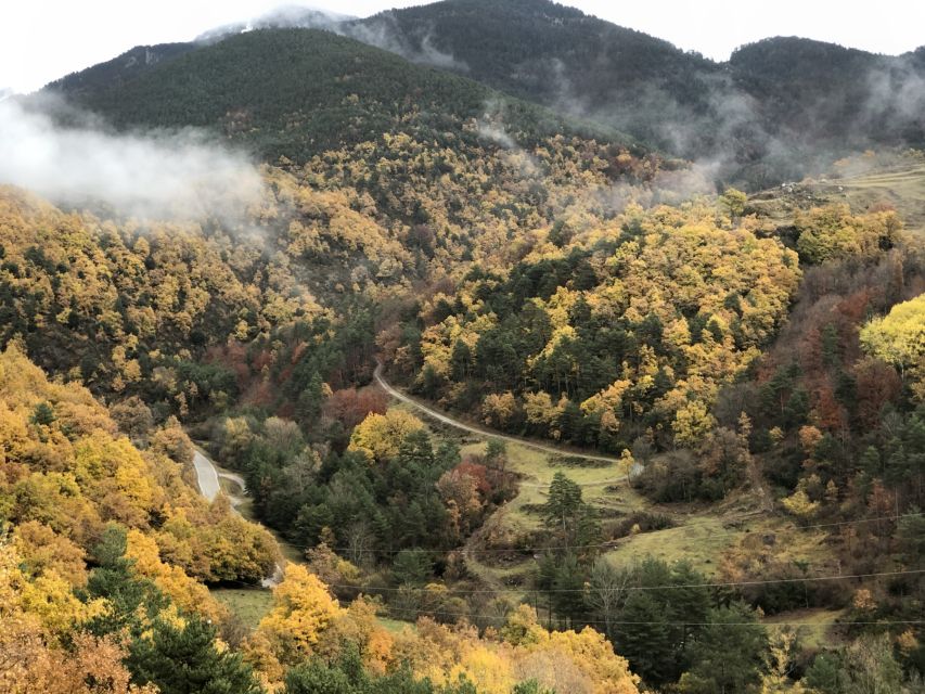 Barcelona: Private Guided Day Trip to Andorra with Pickup - The return via the French Pyrenees: Porte-Puymorens and Puigcerdà