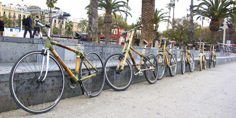 Barcelona: Private Highlights Tour by Bamboo Bicycle - Gothic Quarter on Wheels: Medieval Lanes Without the Foot Slug